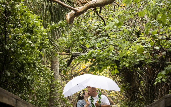 Bride and groom kissing under umbrellas on boardwalk at John D. MacArthur Beach State Park in North Palm Beach, Florida